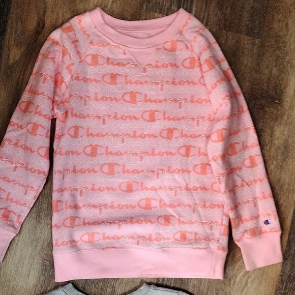 Champion Pink and Gray Sweatshirts Text - Picture 8 of 10